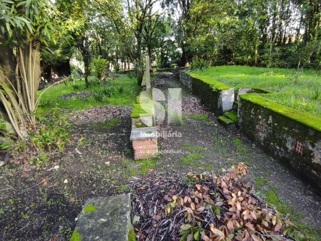 Quinta T0 - Arcos, Anadia, Aveiro - Miniatura: 18/36