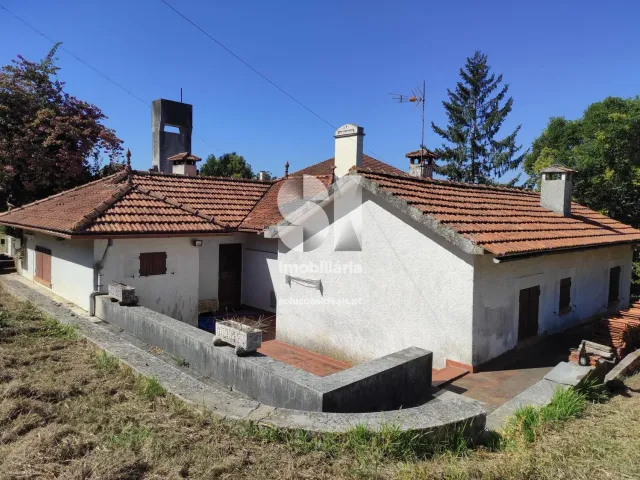 Quinta T0 - Arcos, Anadia, Aveiro - Miniatura: 25/36