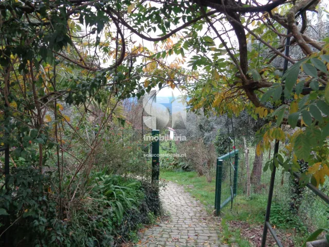 Moradia T6 - Pombeiro da Beira, Arganil, Coimbra - Miniatura: 30/36