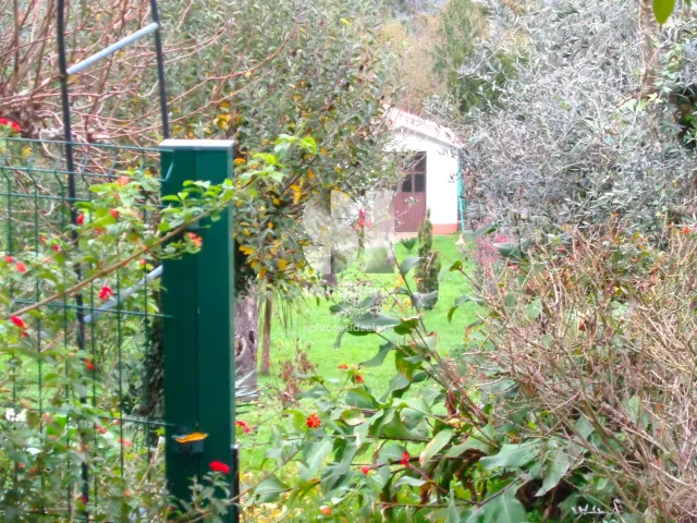 Moradia T6 - Pombeiro da Beira, Arganil, Coimbra - Miniatura: 31/36