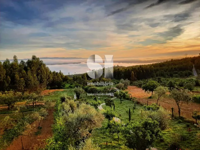 Moradia T6 - Pombeiro da Beira, Arganil, Coimbra - Miniatura: 35/36