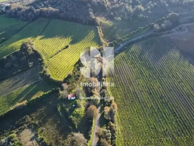 Terreno Urbano T0 - Dois Portos, Torres Vedras, Lisboa - Miniatura: 5/34