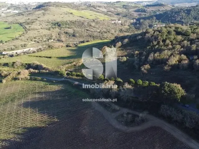 Terreno Urbano T0 - Dois Portos, Torres Vedras, Lisboa - Miniatura: 11/34