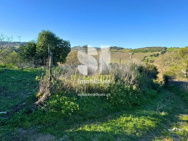 Terreno Urbano T0 - Dois Portos, Torres Vedras, Lisboa - Miniatura: 21/34