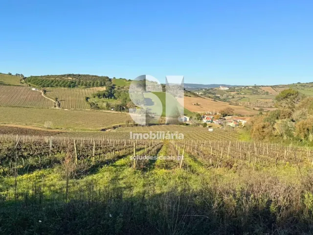 Terreno Urbano T0 - Dois Portos, Torres Vedras, Lisboa - Miniatura: 26/34