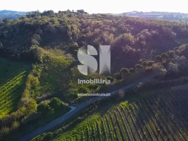 Terreno Urbano T0 - Dois Portos, Torres Vedras, Lisboa - Miniatura: 34/34