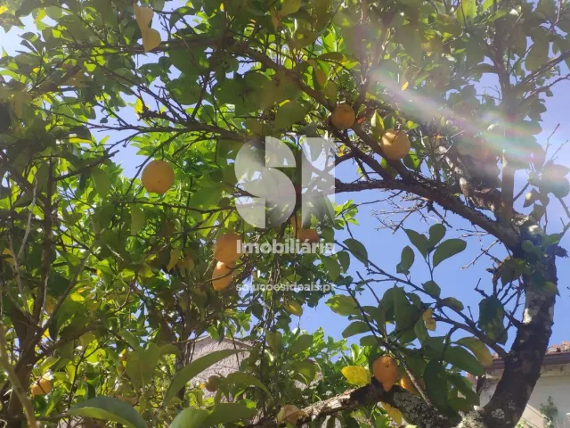 Moradia T6 - Poiares (Santo Andr�), Vila Nova de Poiares, Coimbra - Miniatura: 5/22