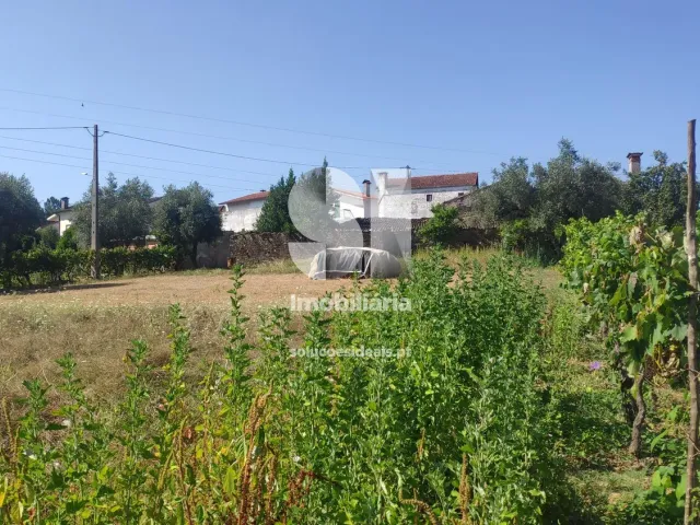 Moradia T6 - Poiares (Santo Andr�), Vila Nova de Poiares, Coimbra - Miniatura: 7/22
