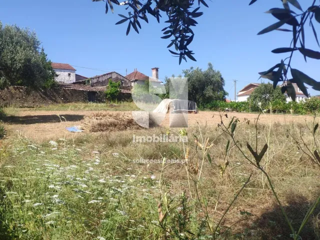 Moradia T6 - Poiares (Santo Andr�), Vila Nova de Poiares, Coimbra - Miniatura: 8/22