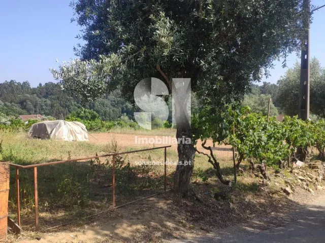 Moradia T6 - Poiares (Santo Andr�), Vila Nova de Poiares, Coimbra - Miniatura: 9/22