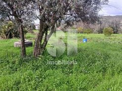 Quinta T0 - Vila Seca, Condeixa-a-Nova, Coimbra - Miniatura: 2/9