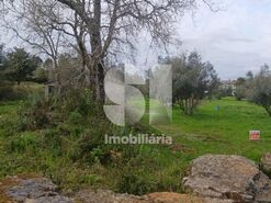 Quinta T0 - Vila Seca, Condeixa-a-Nova, Coimbra - Miniatura: 5/9