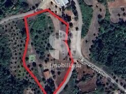 Quinta T0 - Vila Seca, Condeixa-a-Nova, Coimbra - Miniatura: 9/9