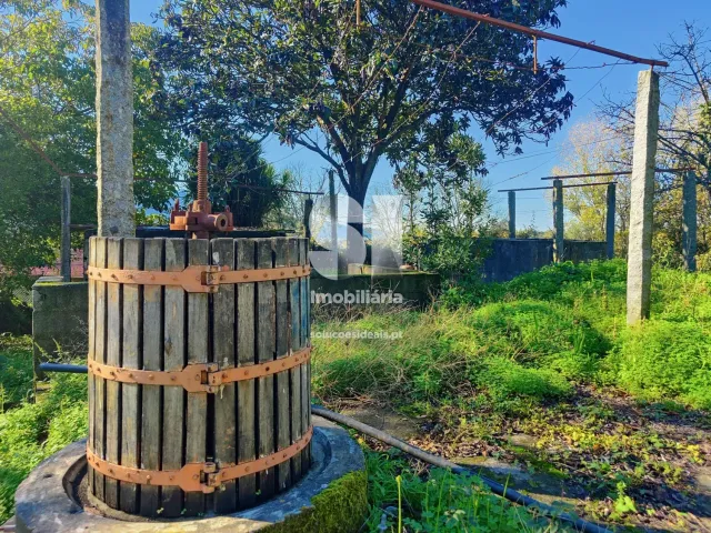 Moradia T3 - Cabreiros, Braga, Braga - Miniatura: 42/47