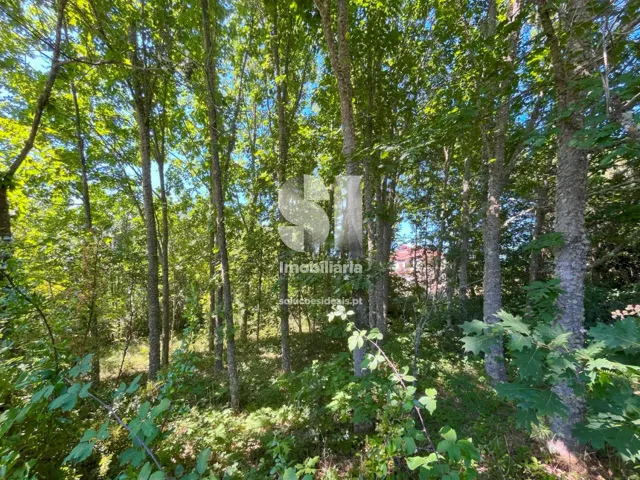 Terreno Urbano T0 - S�o Tom� do Castelo e Justes, Vila Real, Vila Real - Miniatura: 10/17