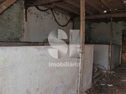 Moradia T3 - Bustos, Oliveira do Bairro, Aveiro - Miniatura: 11/21