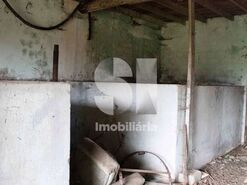 Moradia T3 - Bustos, Oliveira do Bairro, Aveiro - Miniatura: 12/21