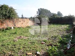 Moradia T3 - Bustos, Oliveira do Bairro, Aveiro - Miniatura: 14/21