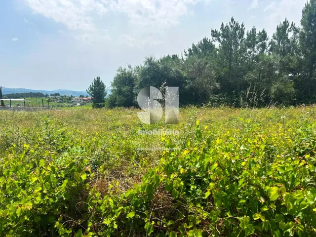 Terreno Urbano T0 - Sabrosa, Sabrosa, Vila Real - Miniatura: 4/13