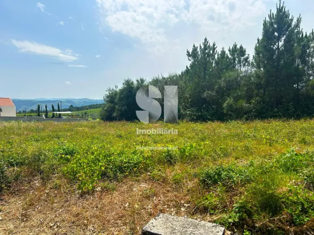 Terreno Urbano T0 - Sabrosa, Sabrosa, Vila Real - Miniatura: 5/13