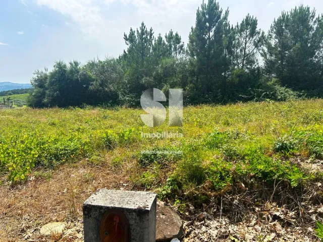 Terreno Urbano T0 - Sabrosa, Sabrosa, Vila Real - Miniatura: 6/13