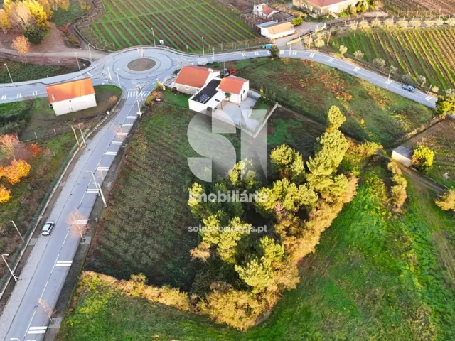 Terreno Urbano T0 - Sabrosa, Sabrosa, Vila Real - Miniatura: 12/13