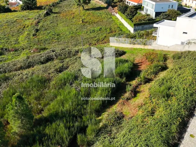 Terreno Urbano T0 - Sabrosa, Sabrosa, Vila Real - Miniatura: 2/11