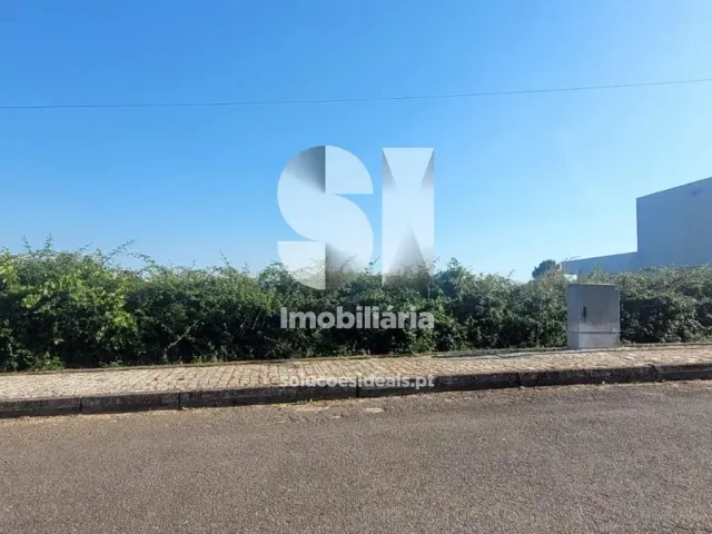 Terreno Urbano T0 - Sabrosa, Sabrosa, Vila Real - Miniatura: 4/11