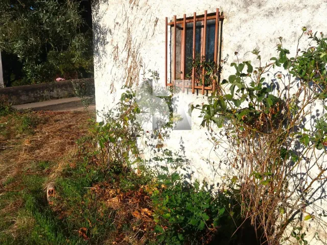 Moradia T2 - Arrifana, Vila Nova de Poiares, Coimbra - Miniatura: 3/26