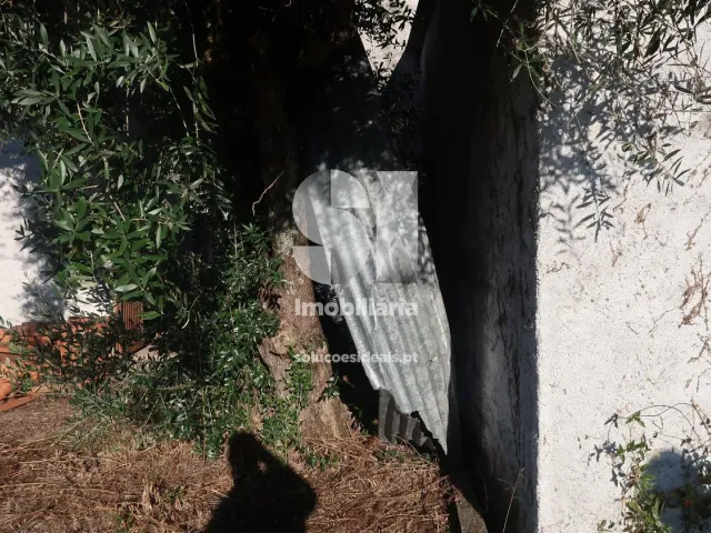 Moradia T2 - Arrifana, Vila Nova de Poiares, Coimbra - Miniatura: 6/26