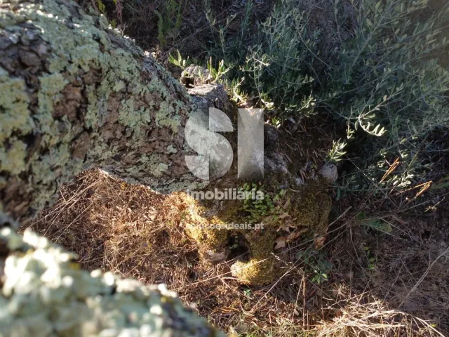 Moradia T2 - Arrifana, Vila Nova de Poiares, Coimbra - Miniatura: 24/26