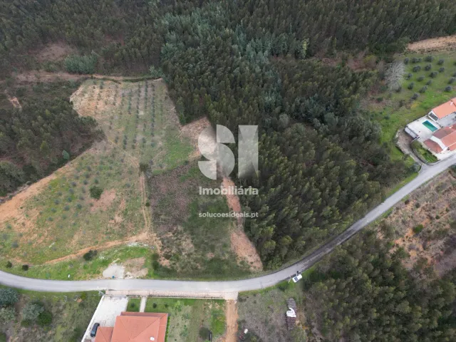 Terreno Urbano T0 - Fri�mes, Penacova, Coimbra - Miniatura: 2/12