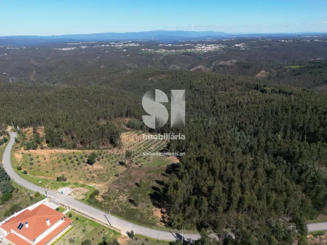 Terreno Urbano T0 - Fri�mes, Penacova, Coimbra - Miniatura: 4/12