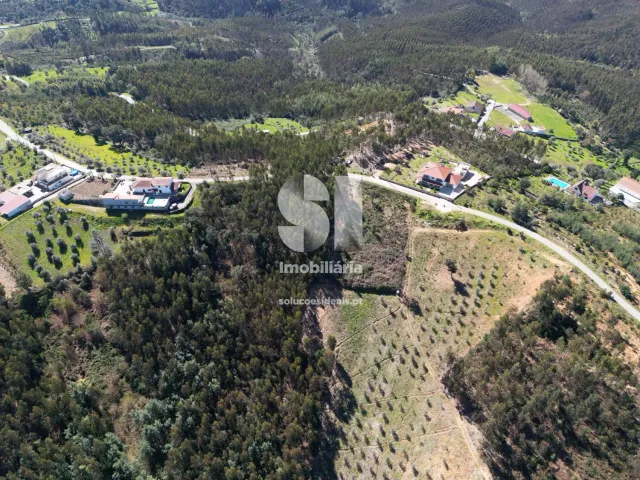 Terreno Urbano T0 - Fri�mes, Penacova, Coimbra - Miniatura: 6/12