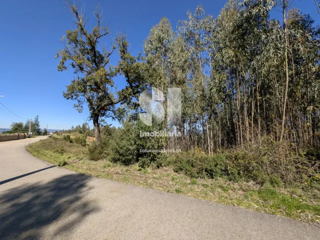 Terreno Urbano T0 - Fri�mes, Penacova, Coimbra - Miniatura: 9/12