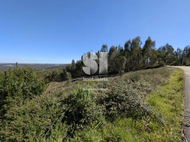 Terreno Urbano T0 - Fri�mes, Penacova, Coimbra - Miniatura: 12/12