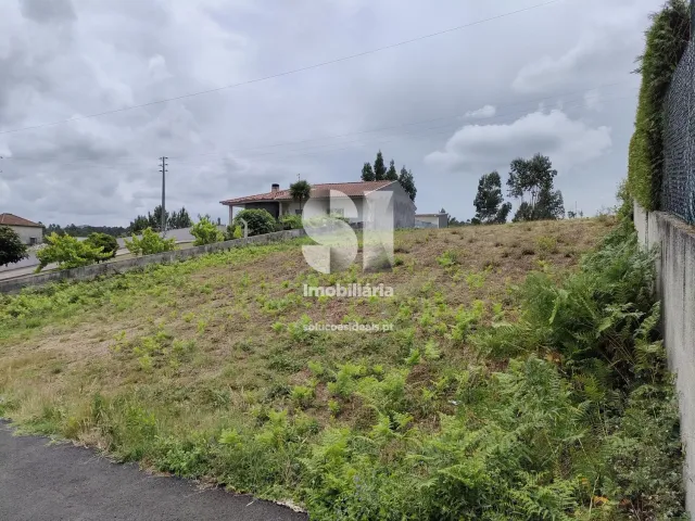 Terreno R�stico T0 - Recarei, Paredes, Porto - Miniatura: 16/29