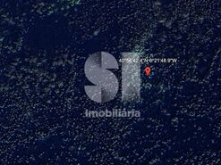 Terreno R�stico T0 - Escariz, Arouca, Aveiro - Miniatura: 2/2