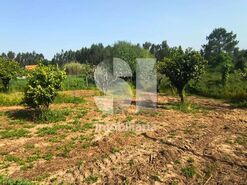 Moradia T3 - Assafarge, Coimbra, Coimbra - Miniatura: 9/22