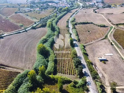 Terreno R�stico T0 - Dois Portos, Torres Vedras, Lisboa - Miniatura: 2/11