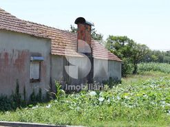 Moradia T2 - Bustos, Oliveira do Bairro, Aveiro - Miniatura: 1/38