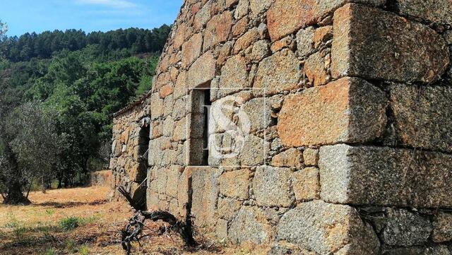 Quinta T3 - Gonçalo, Guarda, Guarda - Imagem grande