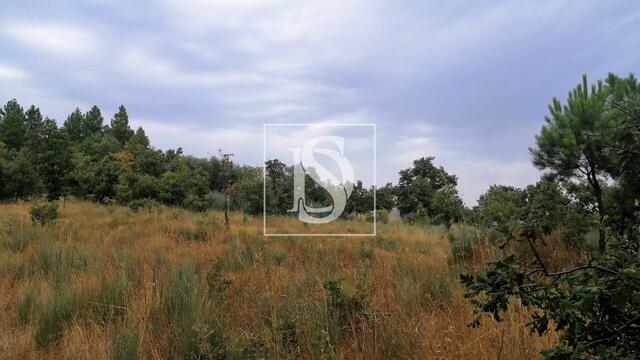 Terreno Rstico - Maanhas, Belmonte, Castelo Branco - Imagem grande