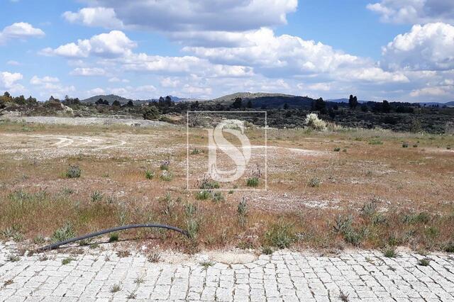 Terreno Rstico - Inguias, Belmonte, Castelo Branco - Imagem grande