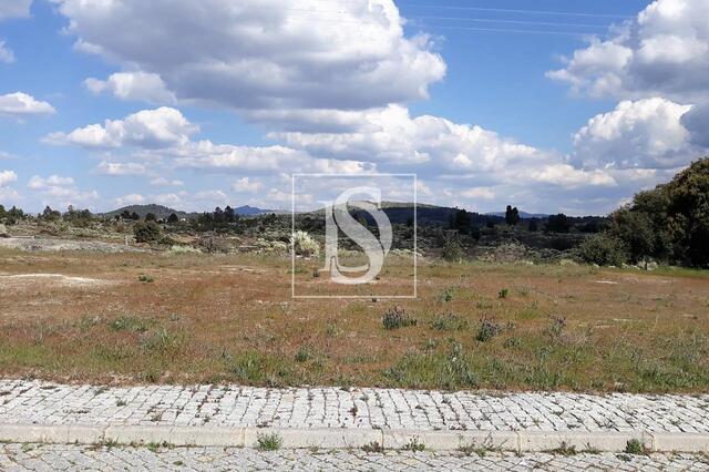 Terreno Rstico - Ourondo, Covilh, Castelo Branco - Imagem grande