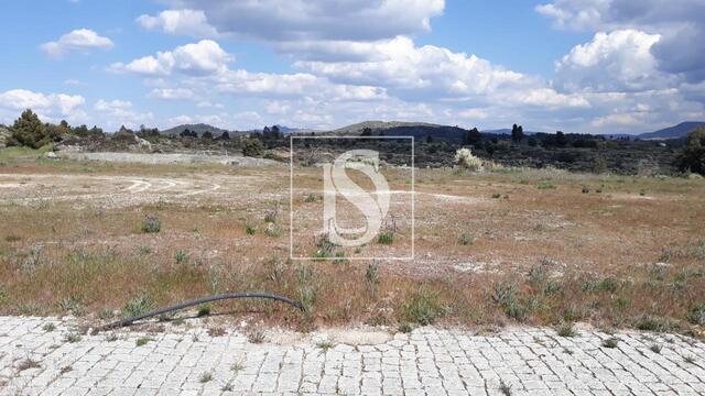 Terreno Rústico - Inguias, Belmonte, Castelo Branco - Imagem grande