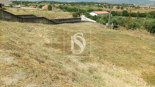 Terreno Rústico - Caria, Belmonte, Castelo Branco - Imagem grande