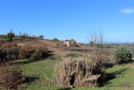 Quinta - �zere, T�bua, Coimbra