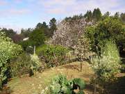 Moradia T4 - Cerdeira, Arganil, Coimbra - Miniatura: 7/9