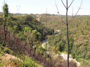 Quinta - Coja, Arganil, Coimbra - Miniatura: 1/6